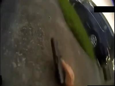 TWO HOUSTON COPS SHOT