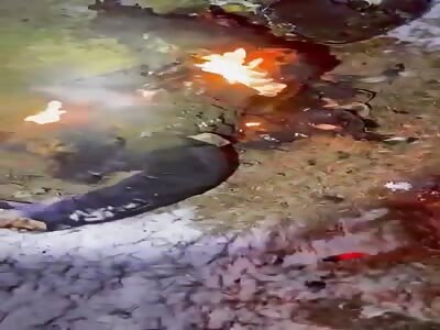 The Crispy Remains of the Russian Pilot that got Shot Down.