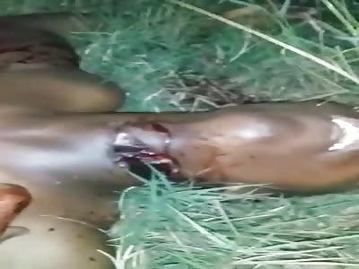 Group of friends were killed while they were stealing sugar cane