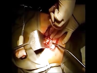 Stars of the YNC #159