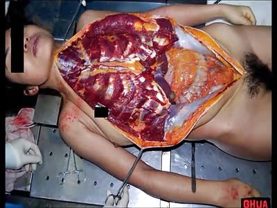 Stars of the YNC #169 