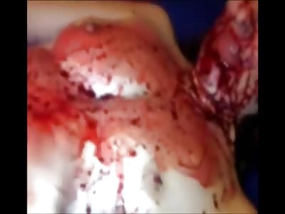 Stars of the YNC #182