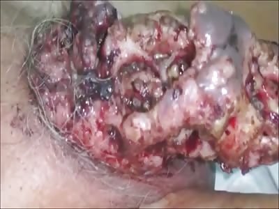 Stars of the YNC #206