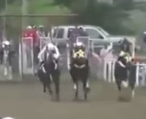 Horse Runs Head First into a Tree.. Jokey Jump off Just in Time