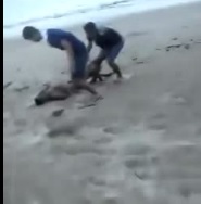 Kid Beaten Unconscious and Robbed of his Clothes