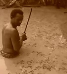 Electric Eel Strikes Guy