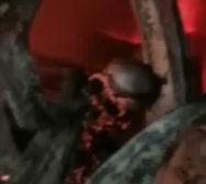 Driver Fries to the Bone in Burning Car