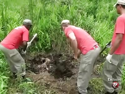 Couple found dismembered in shallow grave 