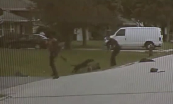 Dashcam Shows Pitbull Attack