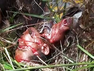 Dead Man Found Hacked up by Machete Found in Field