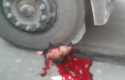Head Crushed Like a Pumpkin Stuck Under Truck Wheel