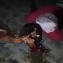 3 Guys Killed with Shotgun and Pistol Shots