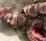 Man Killed by His Own Dog (2 camera angles + pics)