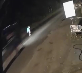 Man Walking in the Middle of the Road is Killed by Bus 