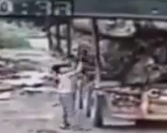 Man dies crushed by a huge tree trunk