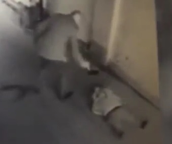 Mob Execution Caught on CCTV 