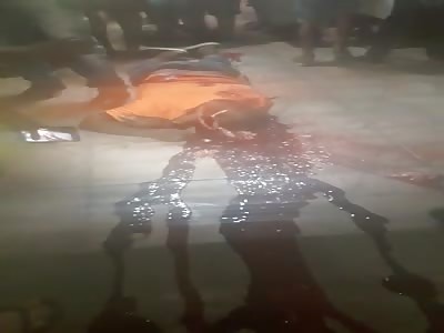 Shotgun Murder and Bloody Crime Scene