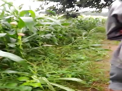 Suicide Girl Found Hanging in the Woods