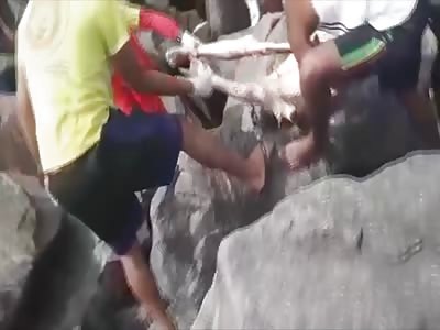 Man Killed by Shark Fished out of the Rocks on Shore