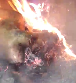 Gang Rival Beaten, Shot and Torched ... Marshmallows Anyone?