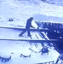 Safety First: The Danger of a Rolling Loose Freight Wagons