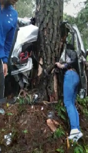 Bizarre Accident, Car Cut in Half Woman Pinned Between Tree