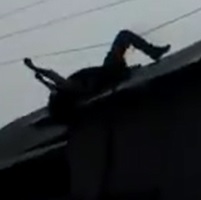 Electrocuted by Power-lines On top of House