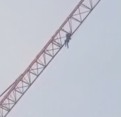 Suicide by Crane