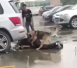 Dog on Attack Mode.. Won't Stop Biting Guy