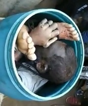 Dude Found Stuffed Piece by Piece in a Bucket