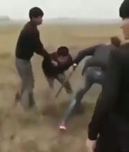 Guy Steals Wrong Dog... Gets Beaten to Death