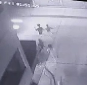 College Kids Running From Dogs Forget to Look Both Ways