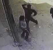 11 Year Old Boy Stabbed by Owner of Dogs the Boy Was Bothering 