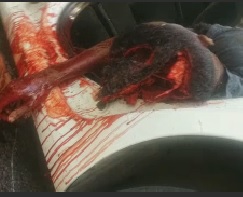 Thieves Shot Dead by Police... 