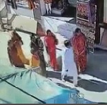 Rampaging Escaped Bulls Trample Unsuspecting Crowd on Sidewalk
