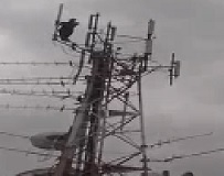 If Suicide Man Can't Get Electrocute, He'll Jump!