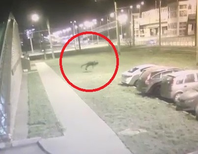 IMPACT: Suicide Jumper Impact and Bounce 