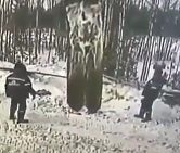 WORK FAIL: Worker Crushed by Large Metal Construction