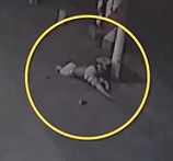 9-Year-Old Boy Falls Fro 9th Floor (Impact)