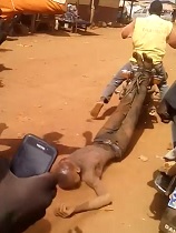 Thief Dragged as Crowd Cheers and Records