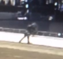 Guy Throws His Wife Off Bridge (w/Aftermath & Impact)