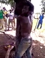 Tied to a Tree and Savaged