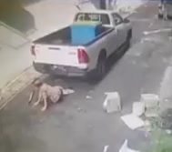 Old Woman Not Fast Enough and Driver Not Smart Enough