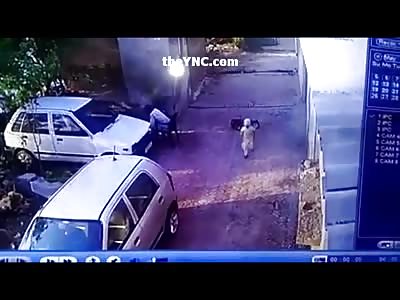 The Moment a Big Dog Attacks Little Girl