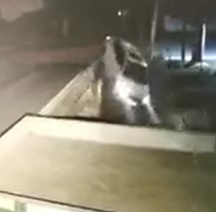 WHOOPS! Don't Miss That Turn