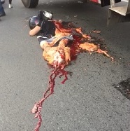 Bikers Carnage..Mess on the Street