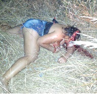 Accident Leaves Girl Headless in the Bushes 