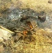 Summer BBQ Leaves Him Crisp