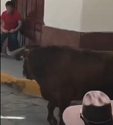 Not Smart to Wear Red to a Bull Running