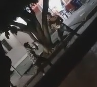 Fatally Stabbed During Fight